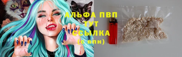 гидра Корсаков