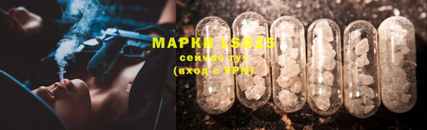 гидра Корсаков