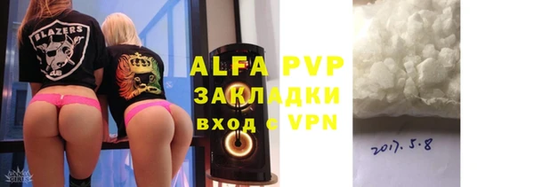 гидра Корсаков