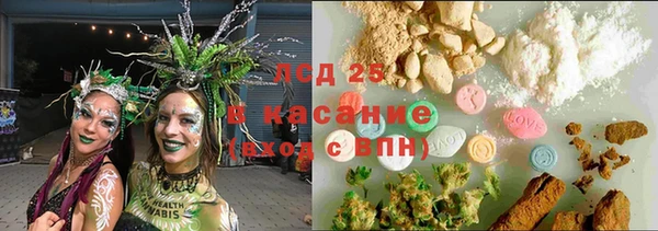 гидра Корсаков