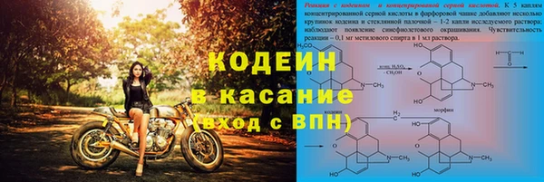 гидра Корсаков