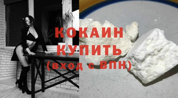 гашик Коряжма