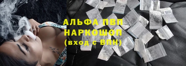гидра Корсаков