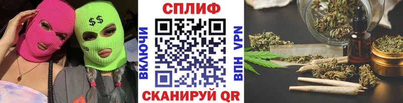 Купить  Гатчина  МАРИХУАНА сатива 